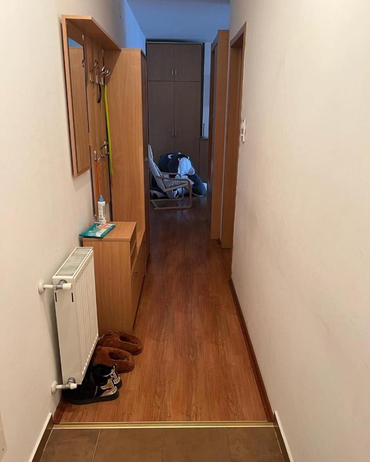 Apartments D&D Požarevac Zewnętrze zdjęcie