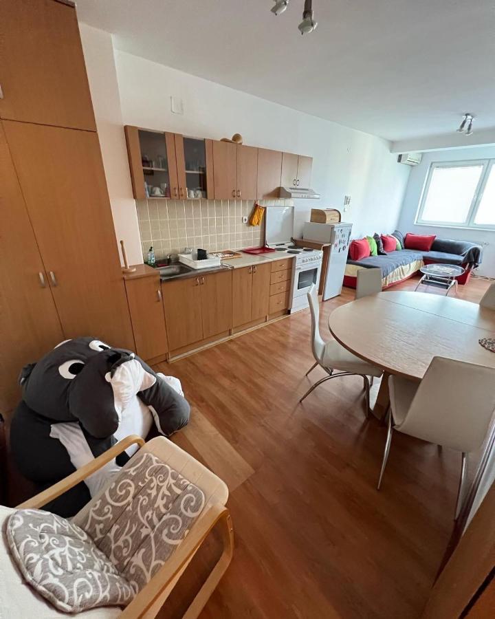 Apartments D&D Požarevac Zewnętrze zdjęcie